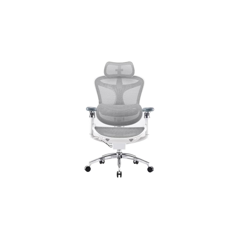 SIHOO Doro C300 Ergonomic Office Chair with Ultra Soft 3D Armrests