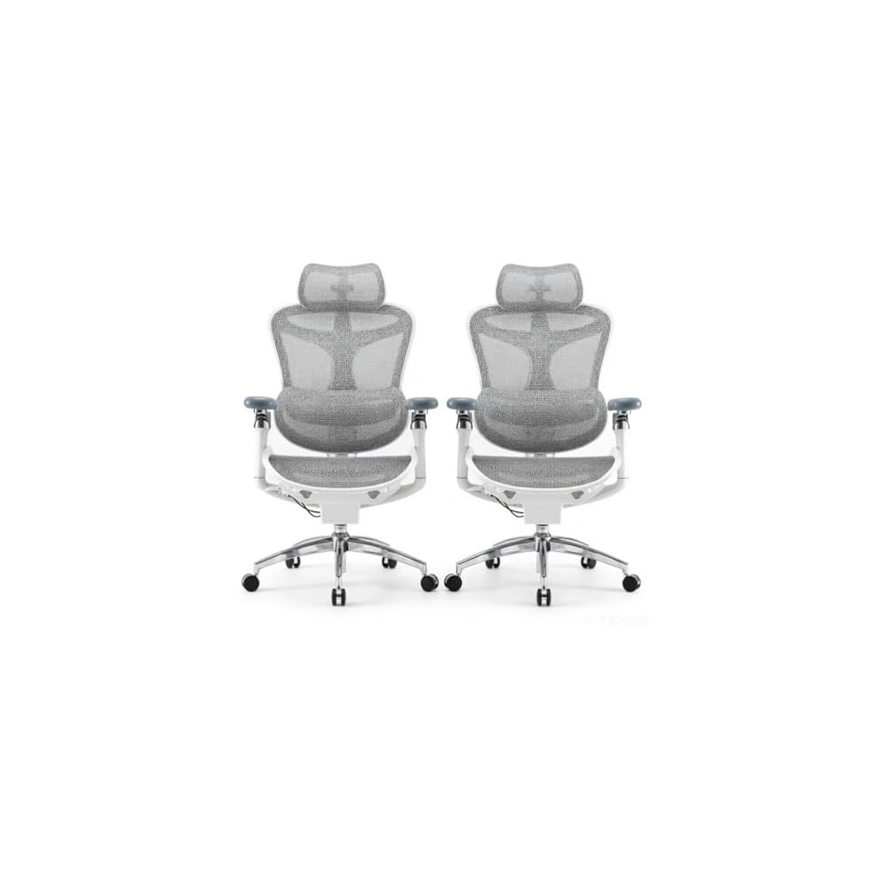 SIHOO Doro C300 Ergonomic Office Chair with Ultra Soft 3D Armrests